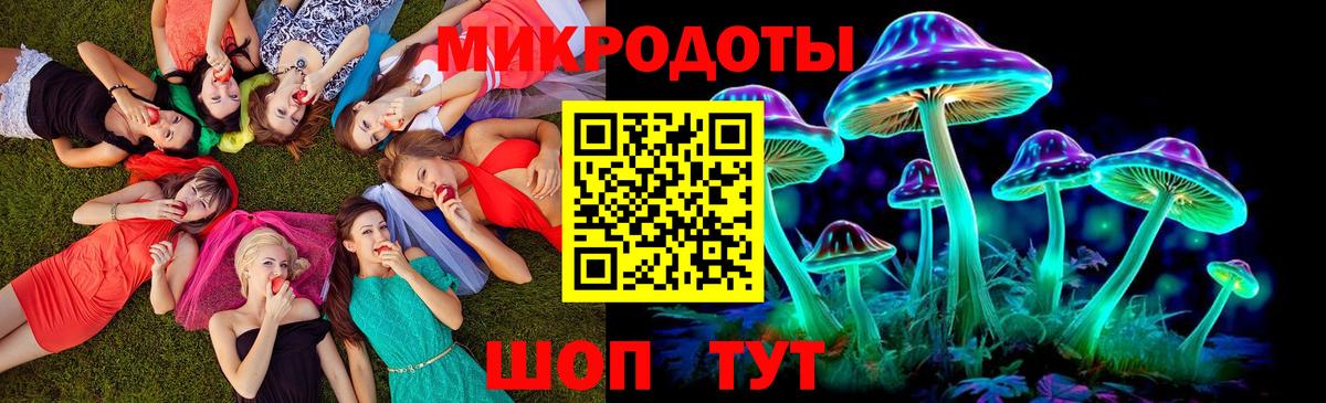 Псилоцибиновые грибы Cubensis  Вход с VPN  где купить наркоту  Сертолово 